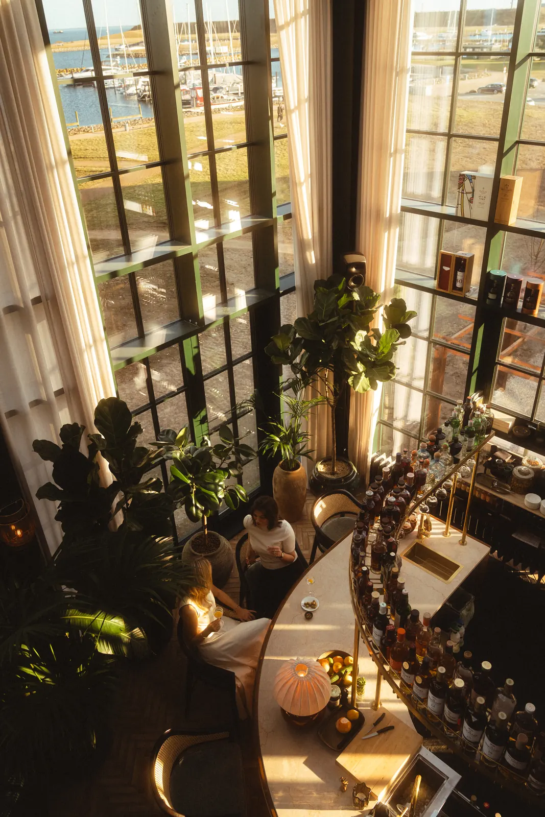 View from above of two guests with cocktails at a curved bar, surrounded by plants and a harbour view.