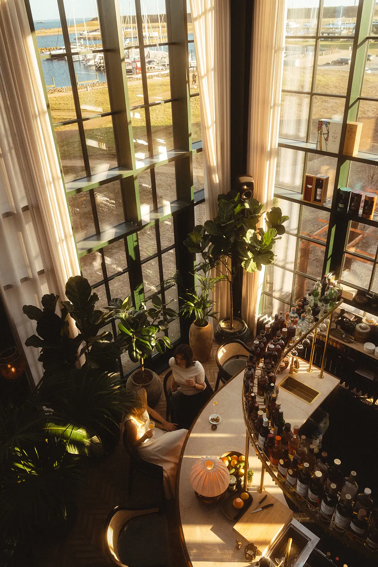 View from above of two guests with cocktails at a curved bar, surrounded by plants and a harbour view.